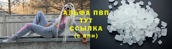 спиды Инсар