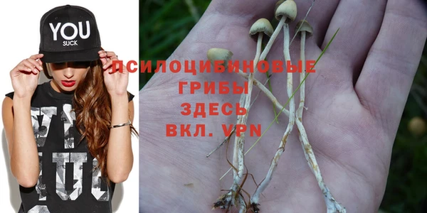 спиды Инсар
