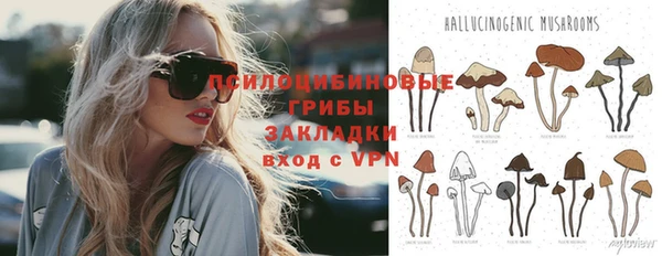 спиды Инсар