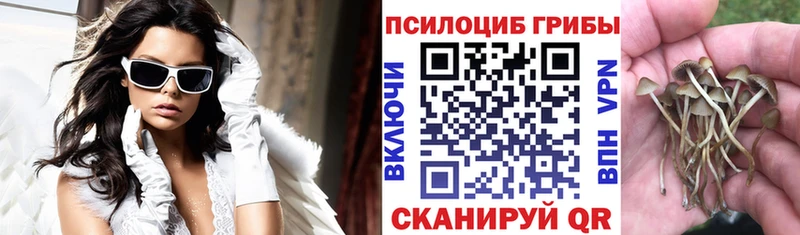 Псилоцибиновые грибы Magic Shrooms  Карачаевск 