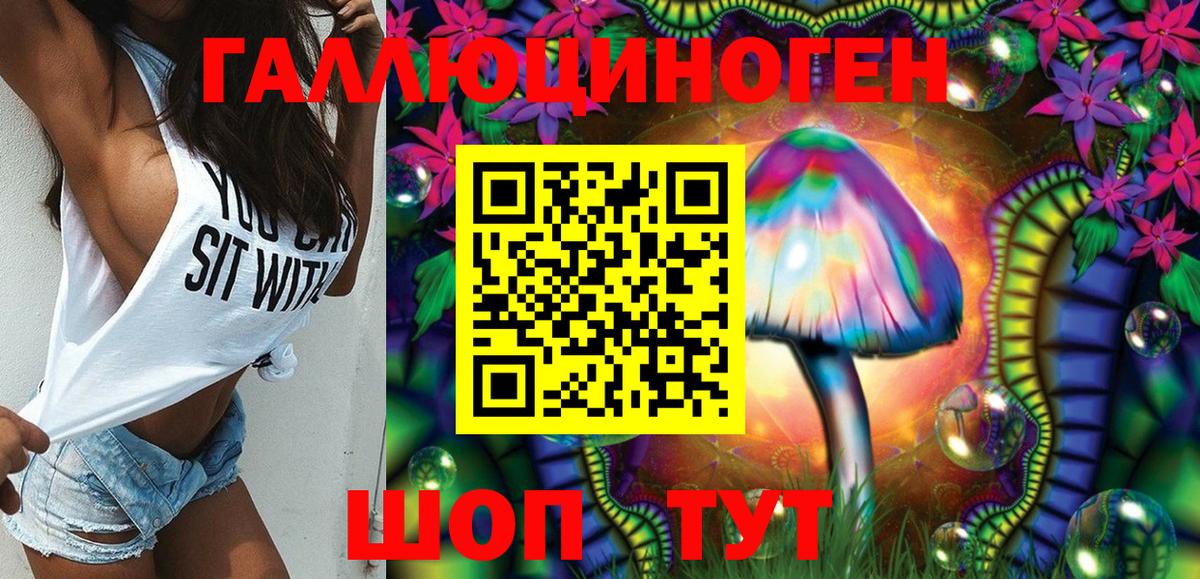 Псилоцибиновые грибы Cubensis  Вход с VPN  Карачаевск 