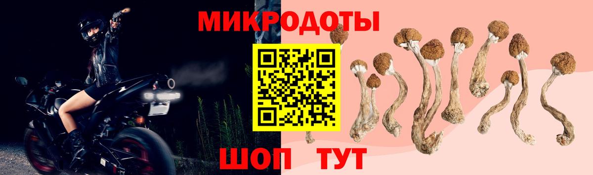 Галлюциногенные грибы Cubensis Карачаевск