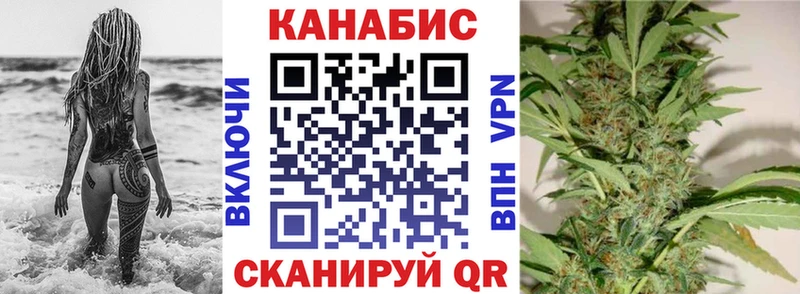 Каннабис планчик  купить наркоту  Карачаевск 